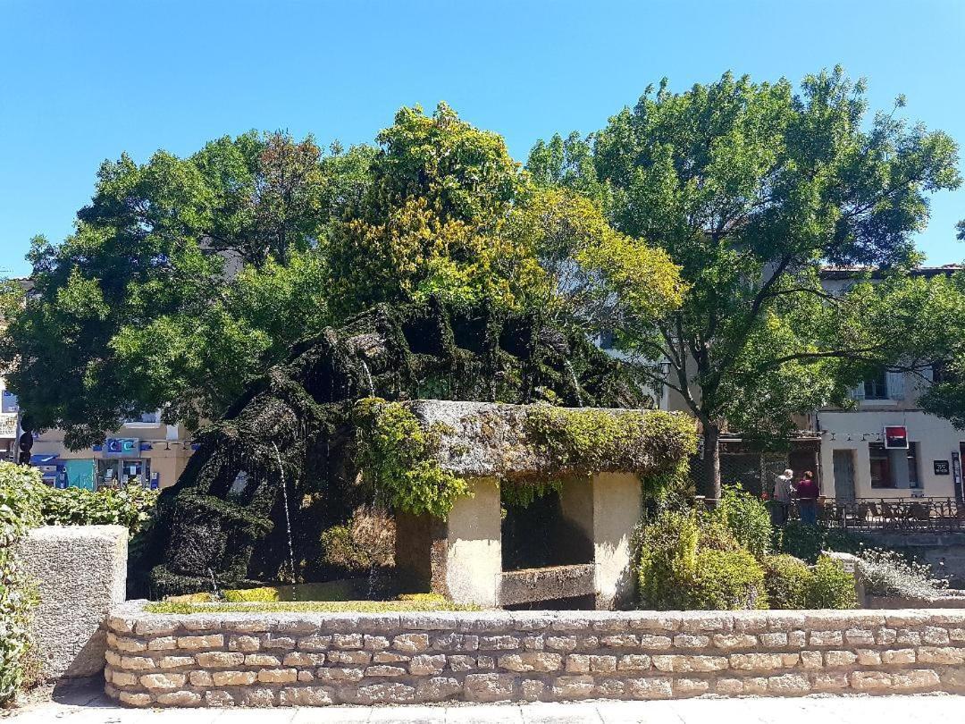 Vintage Home LʼIsle-sur-la-Sorgue Dış mekan fotoğraf